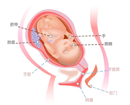 孕妇自然顺产的好处