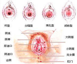 有什么难言之隐，可在线免费咨询