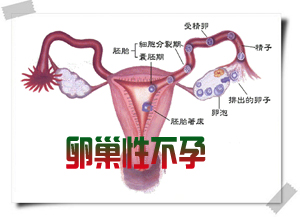 卵巢性不孕