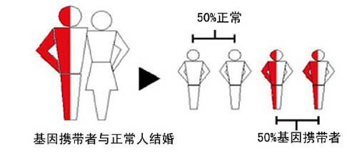 和田孕妈妈咨询：做地贫血筛查有问题能把孩子生下来吗